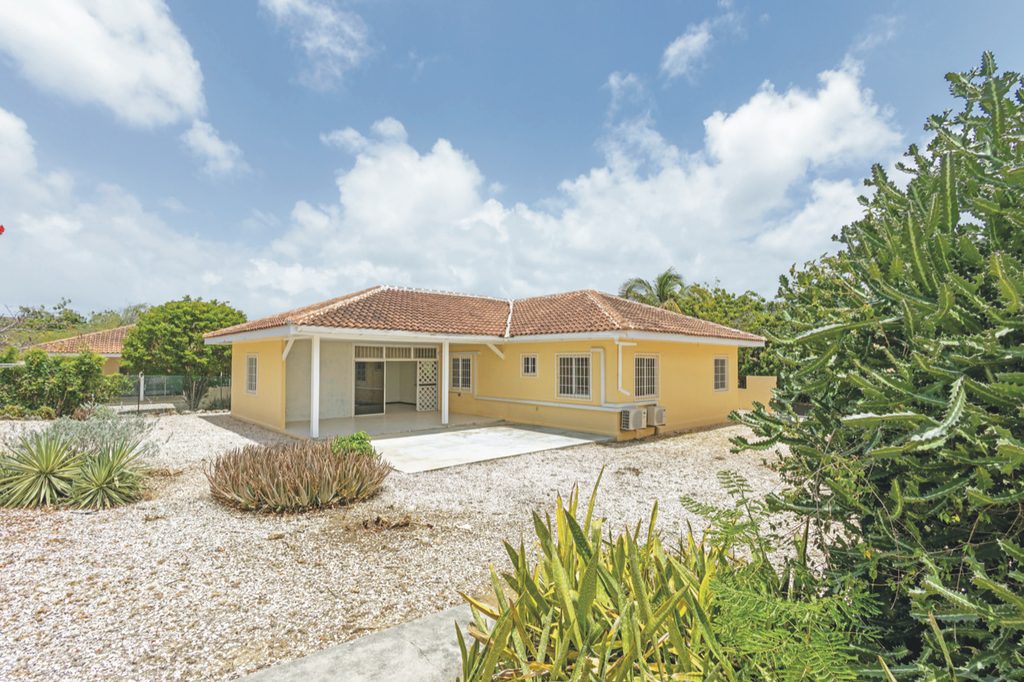 Katoentuin op Curaçao