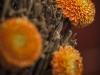 kennethtanfotografie_ictloket_010-06-2014_46