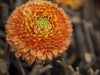 kennethtanfotografie_ictloket_010-06-2014_47